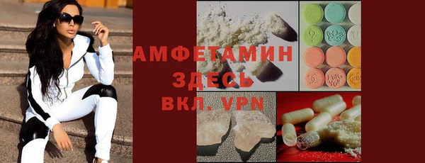 прущие грибы Аркадак