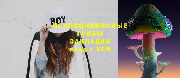тгк Алзамай