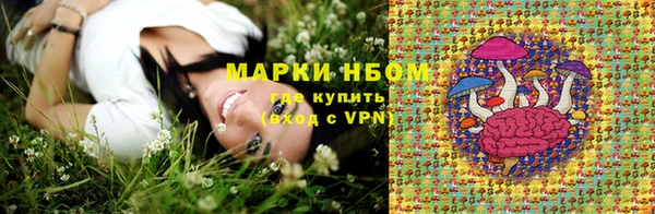 прущие грибы Аркадак