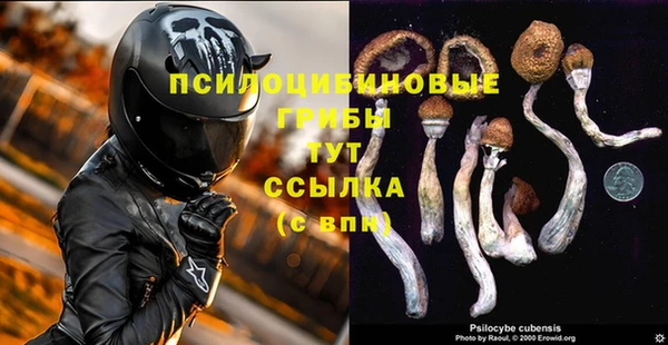тгк Алзамай