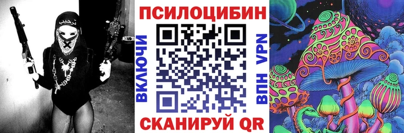 KRAKEN зеркало  Ирбит  Псилоцибиновые грибы MAGIC MUSHROOMS 